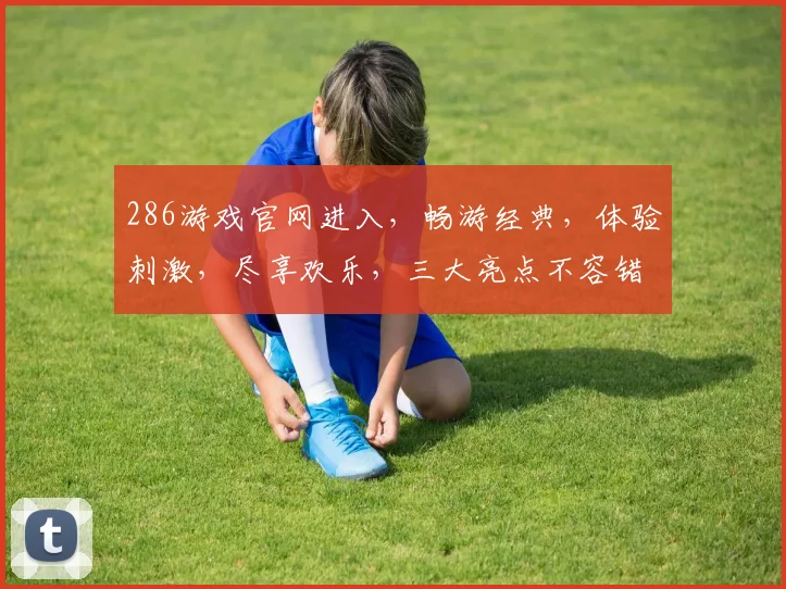 286游戏官网进入，畅游经典，体验刺激，尽享欢乐，三大亮点不容错过，速来体验